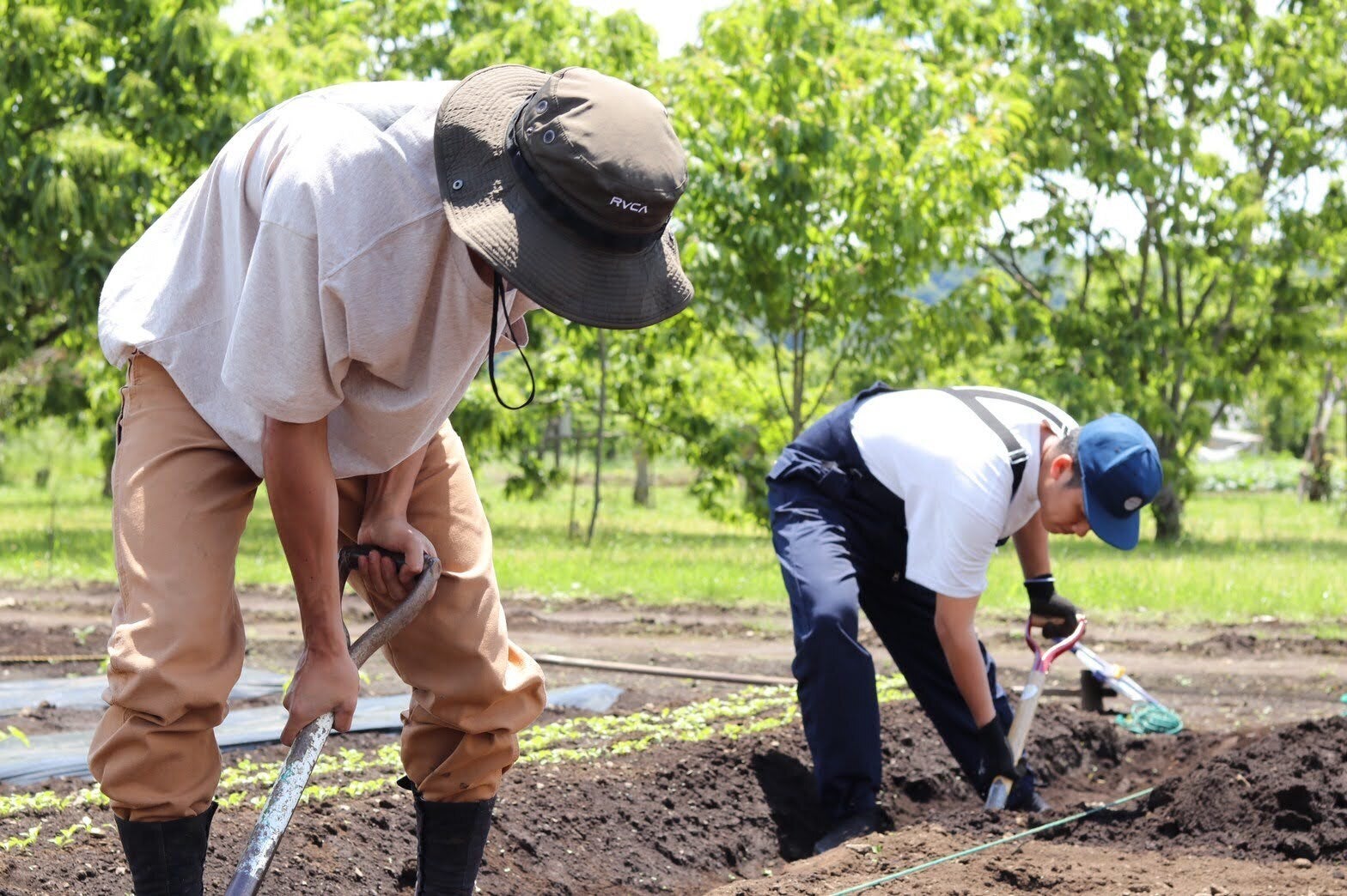 4番目のメイン画像