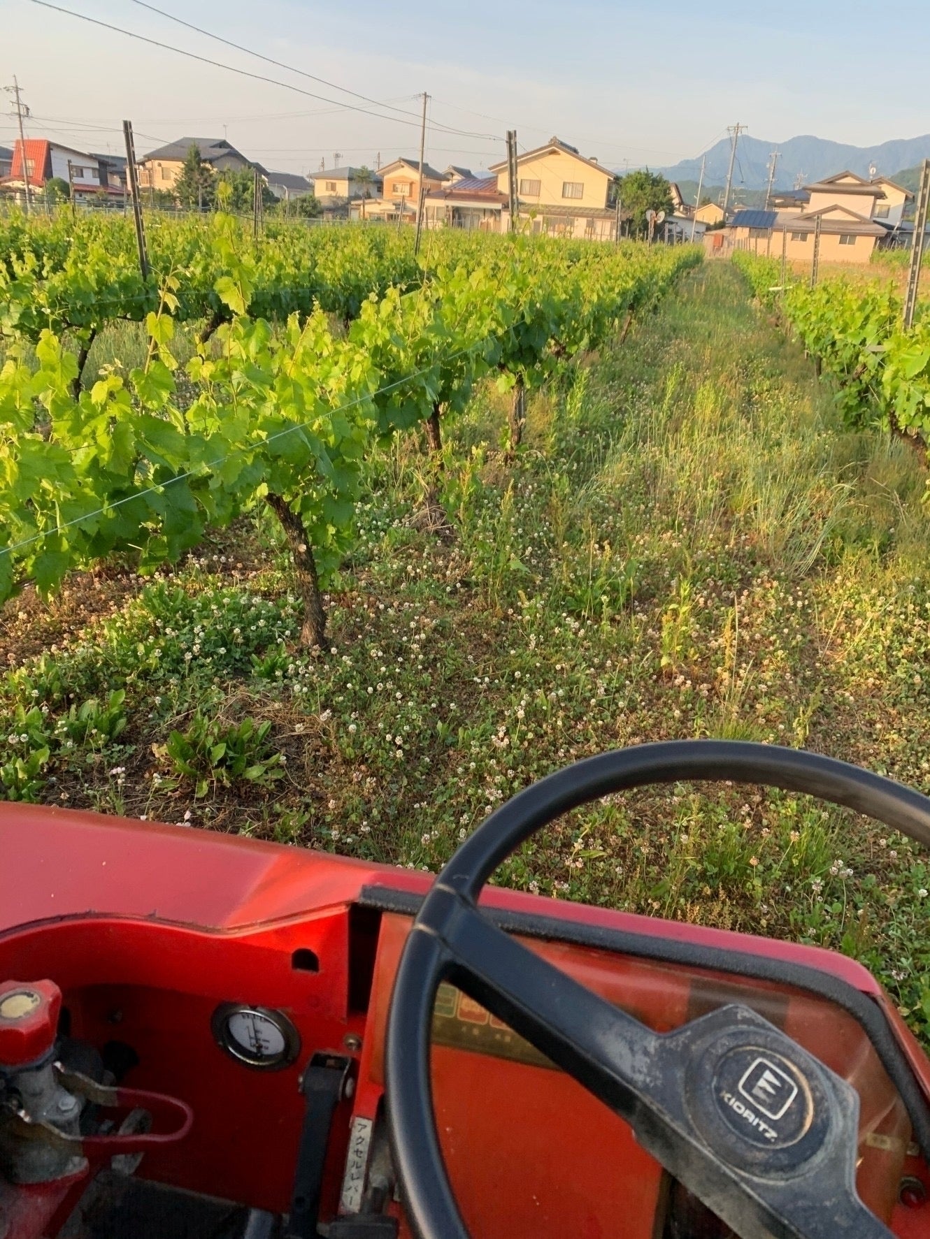 3番目のメイン画像