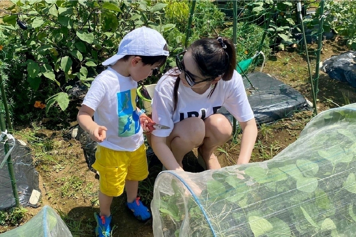 3番目のメイン画像