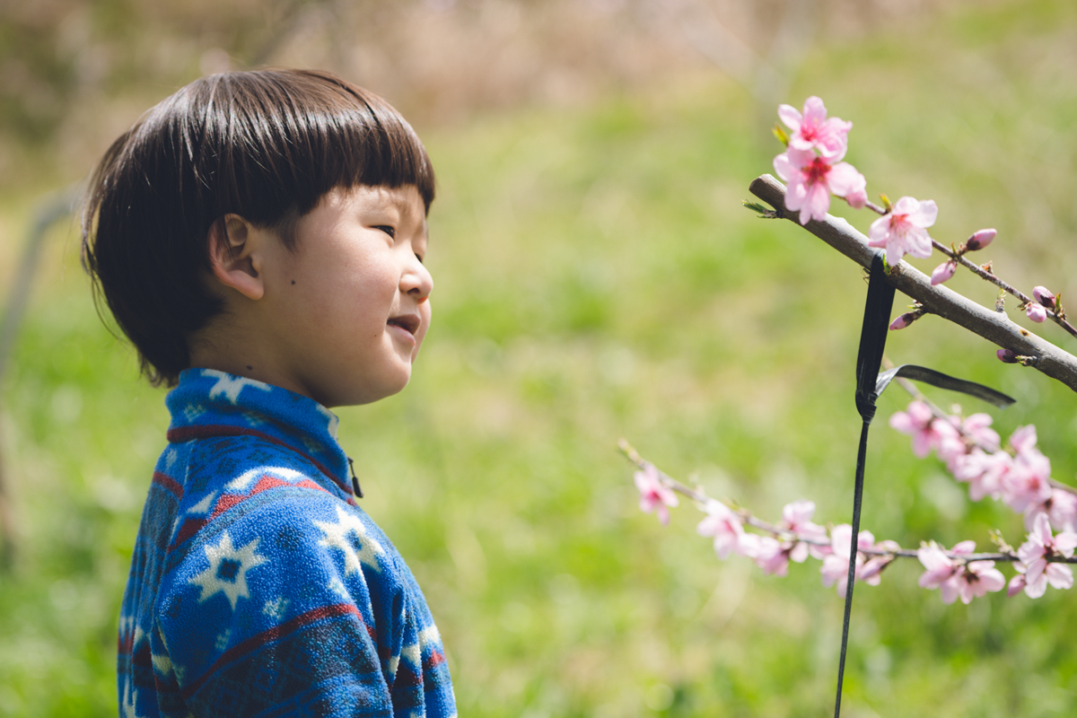 4番目のメイン画像