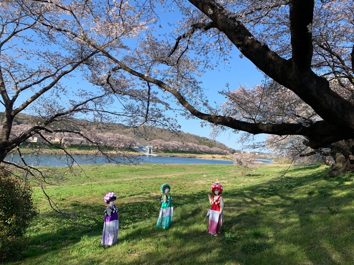 5番目のメイン画像