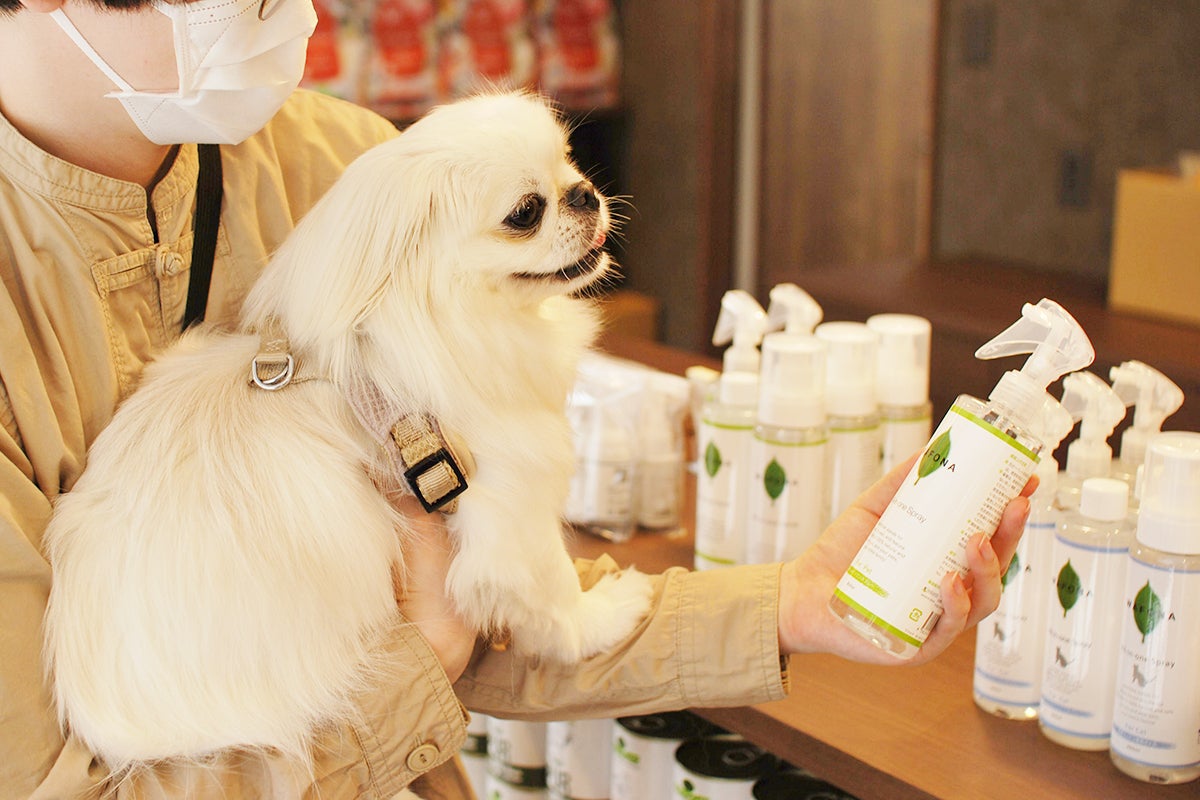 3番目のメイン画像