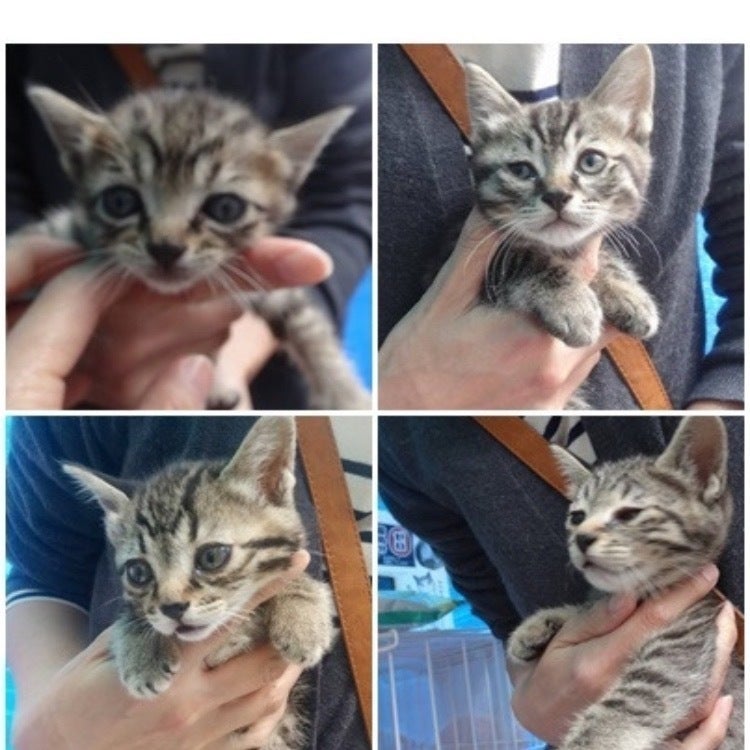 4番目のメイン画像