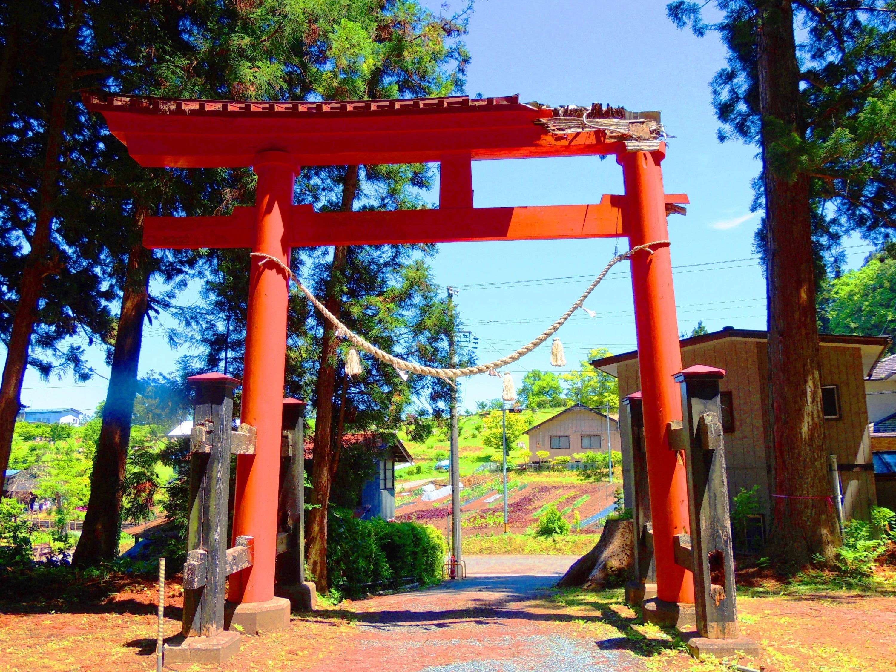 3番目のメイン画像