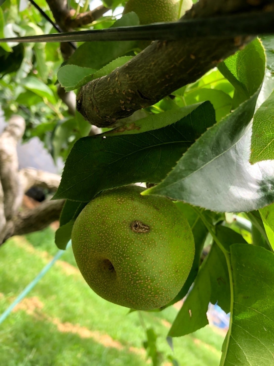 2番目のメイン画像