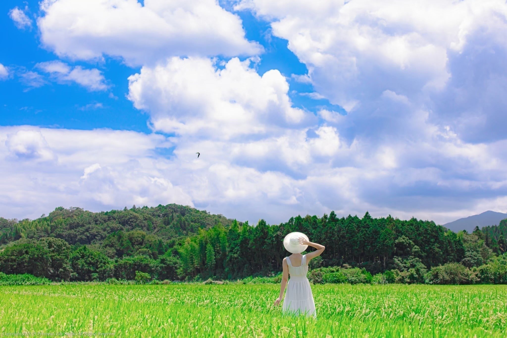 3番目のメイン画像