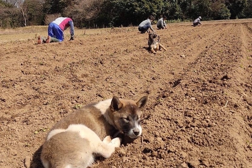 5番目のメイン画像