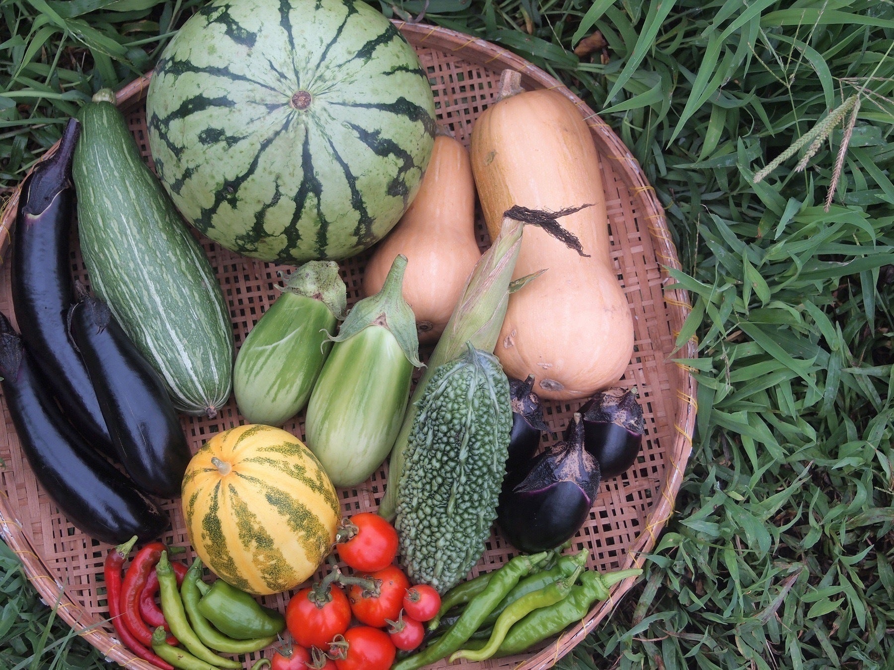 2番目のメイン画像