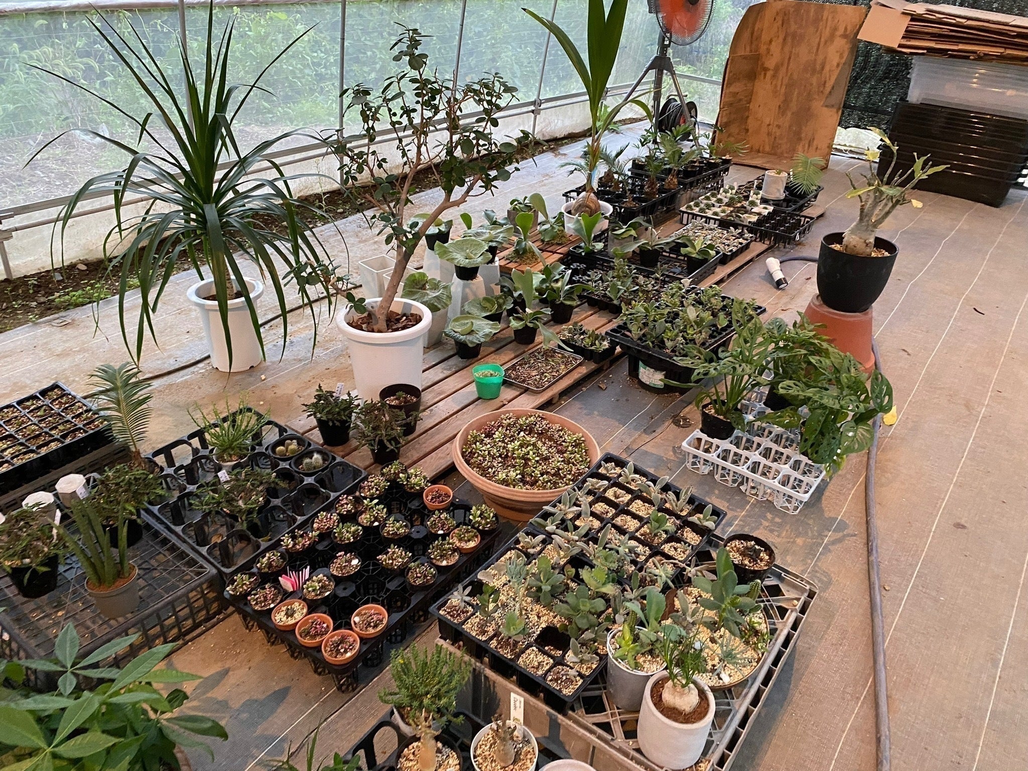 4番目のメイン画像