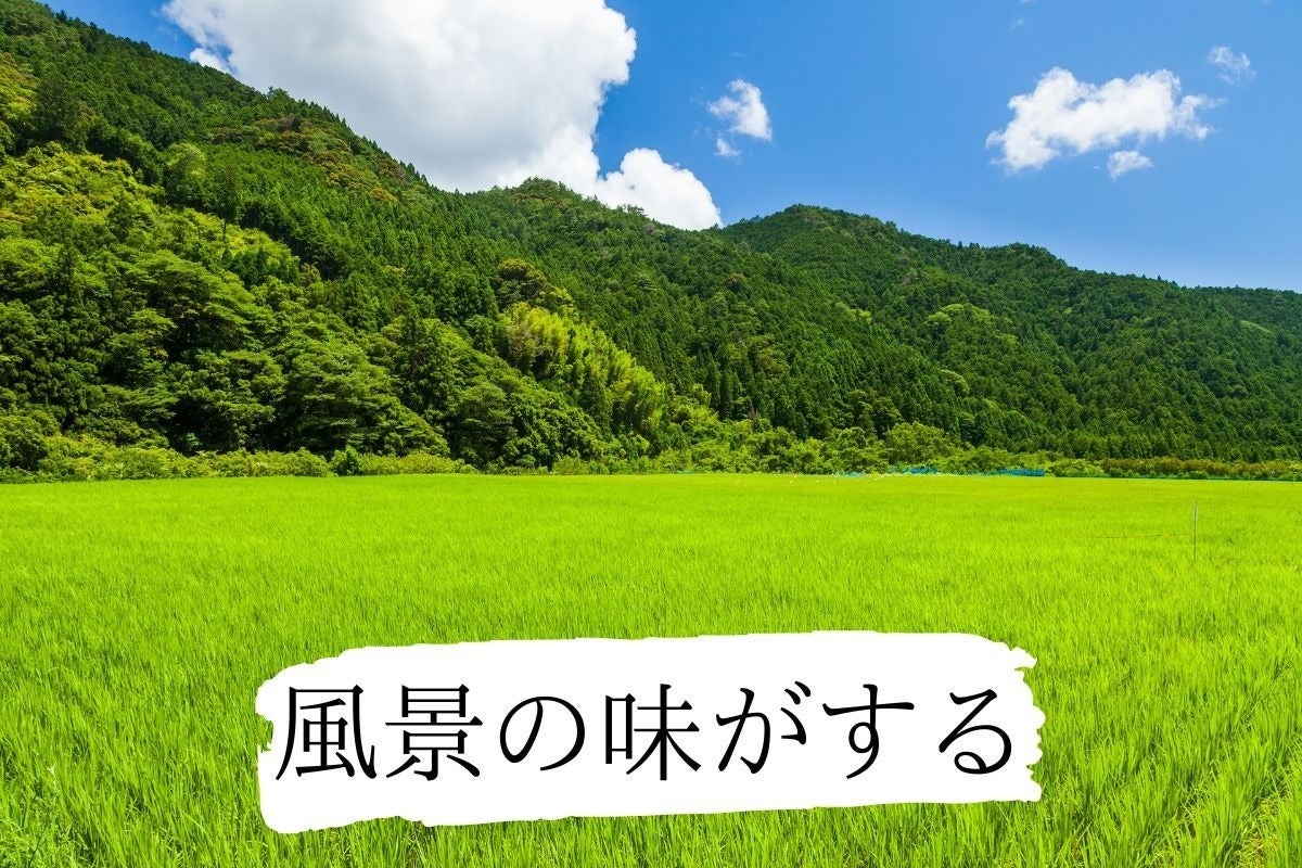 5番目のメイン画像