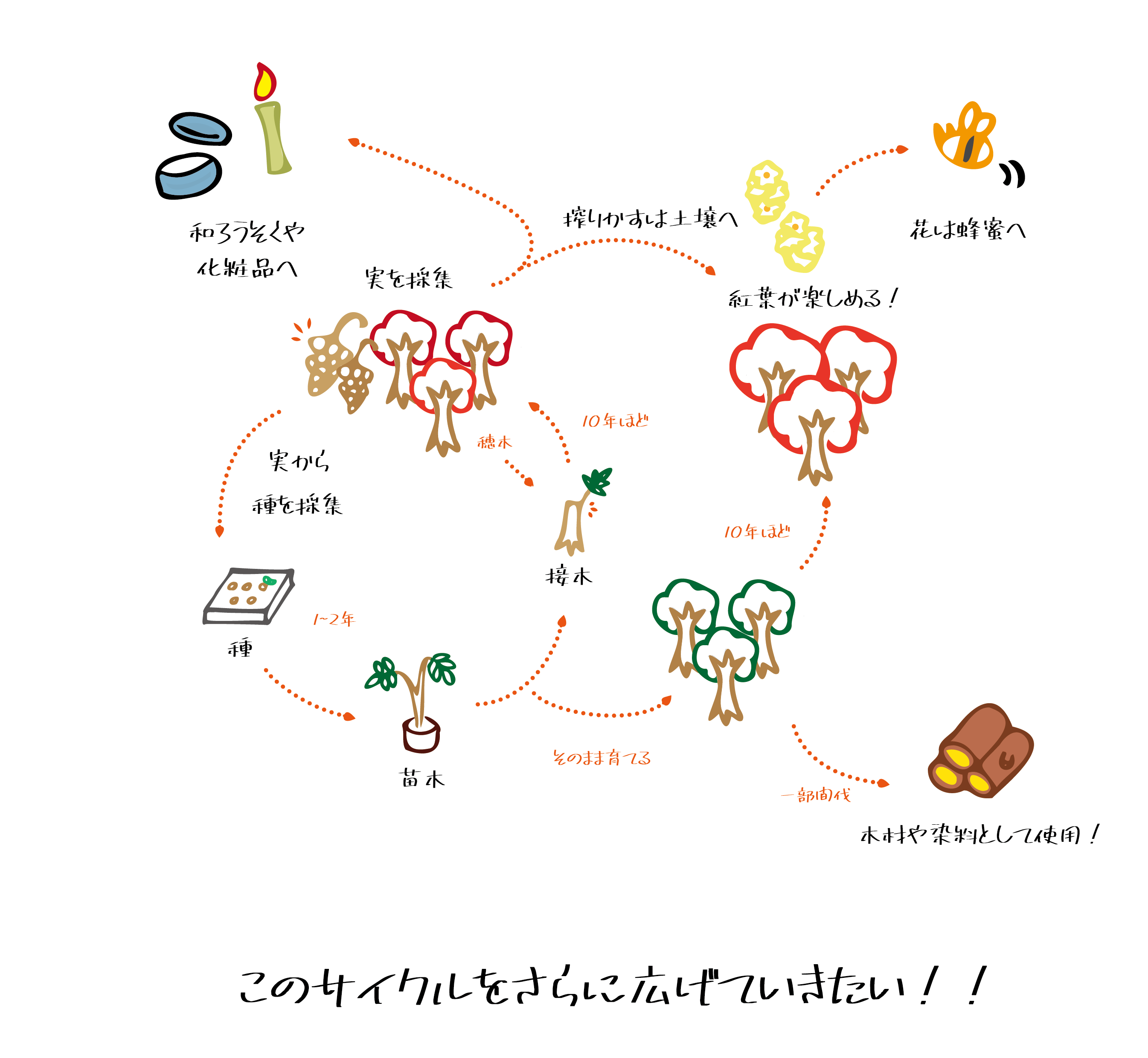 4番目のメイン画像