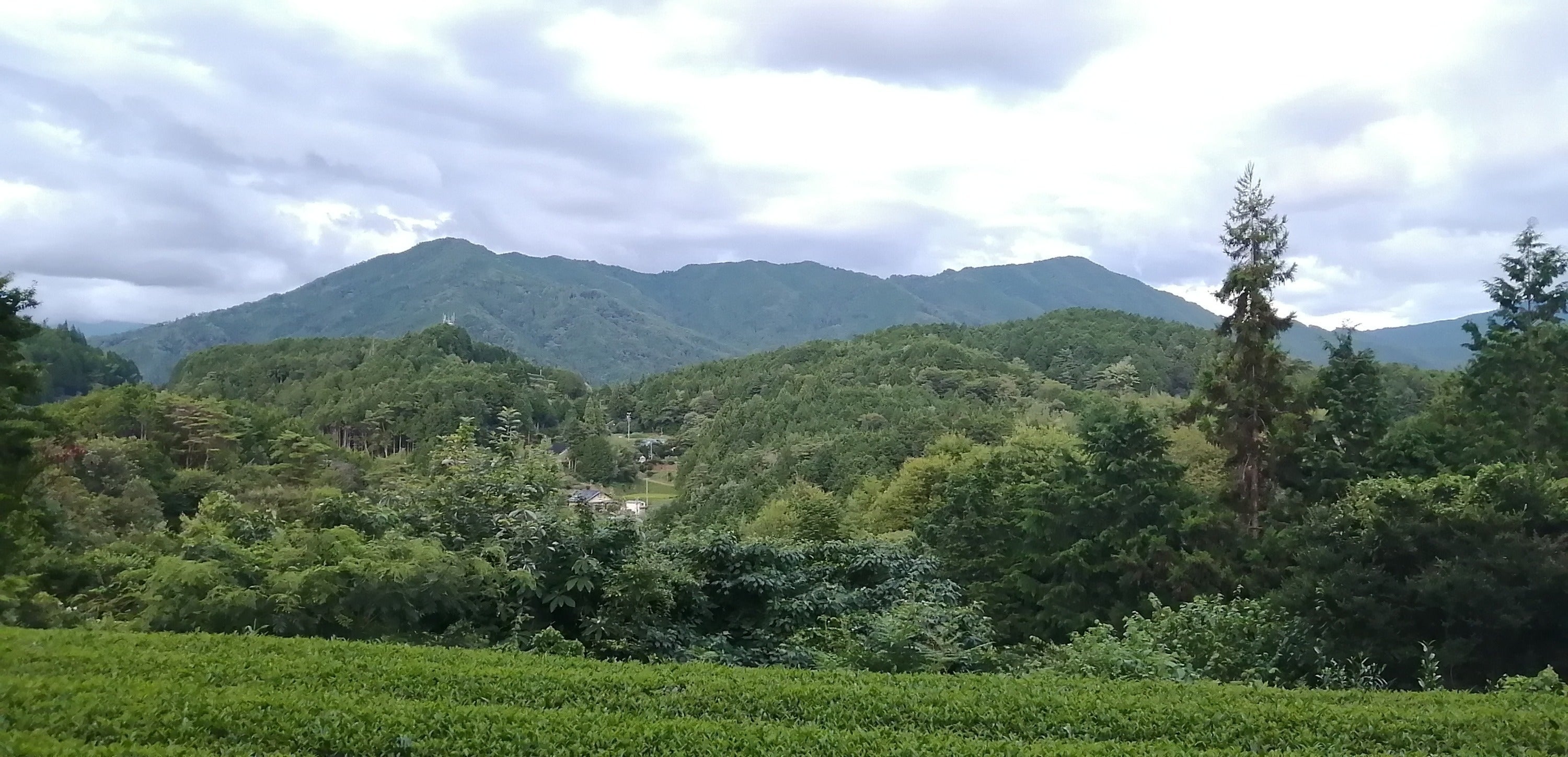 4番目のメイン画像