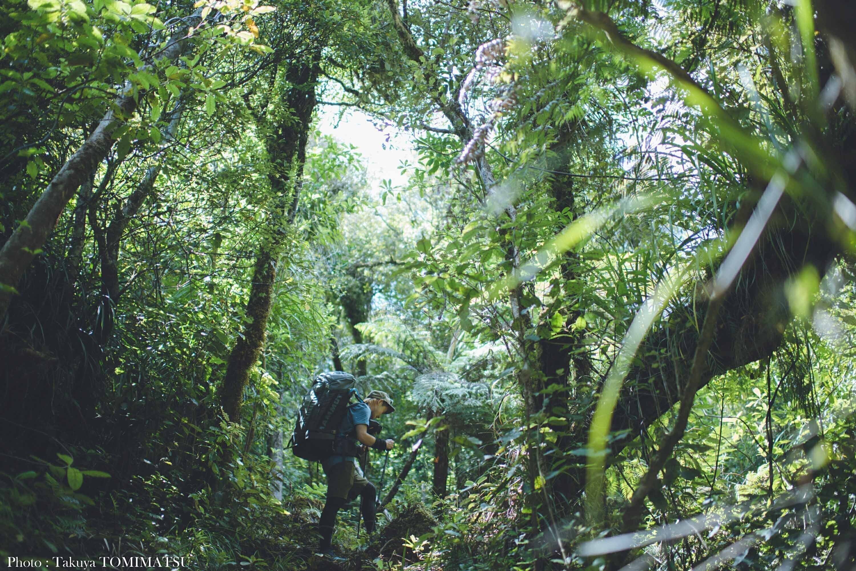 4番目のメイン画像