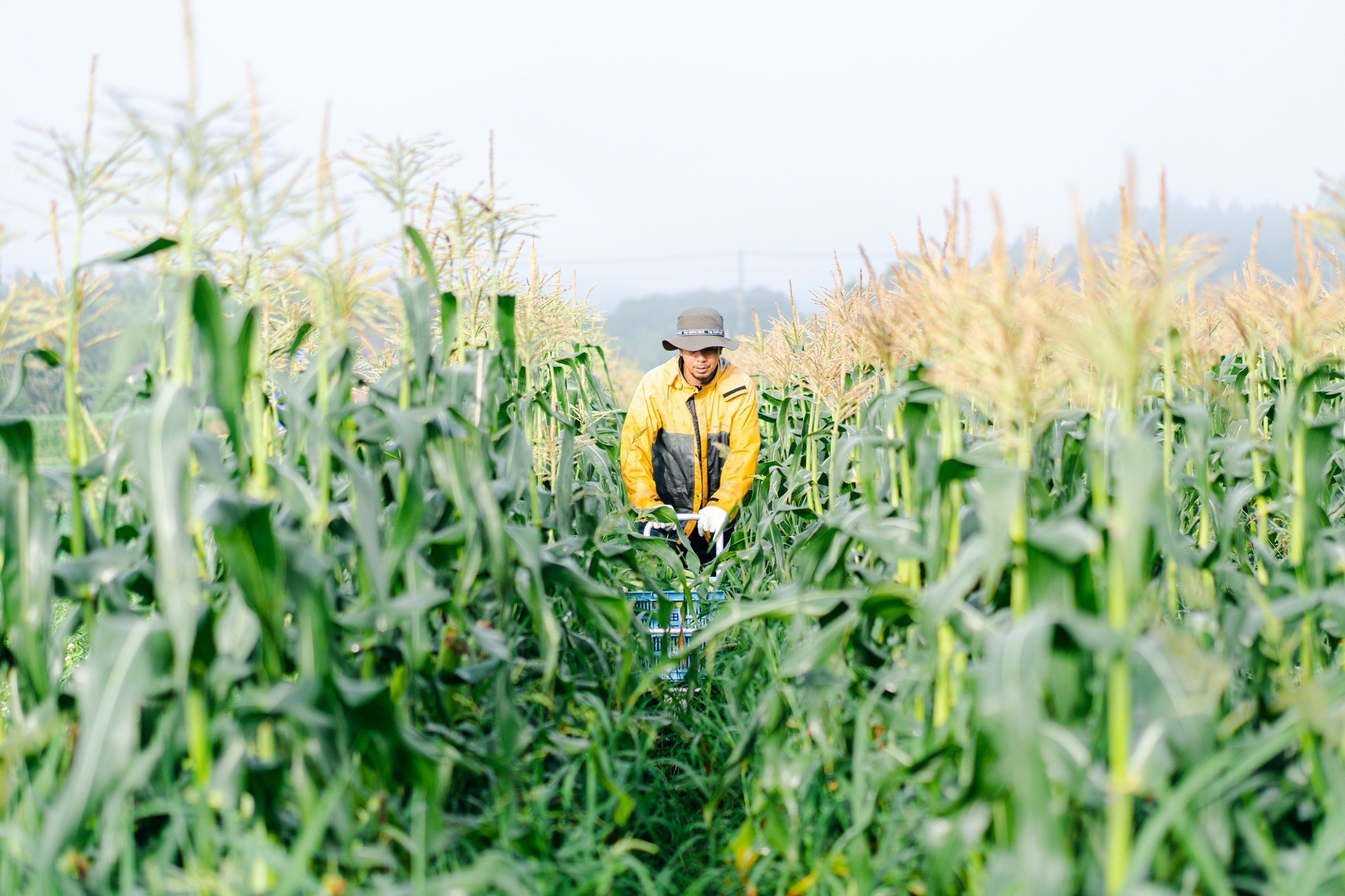 4番目のメイン画像