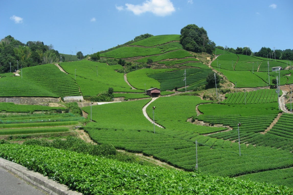 1番目のメイン画像