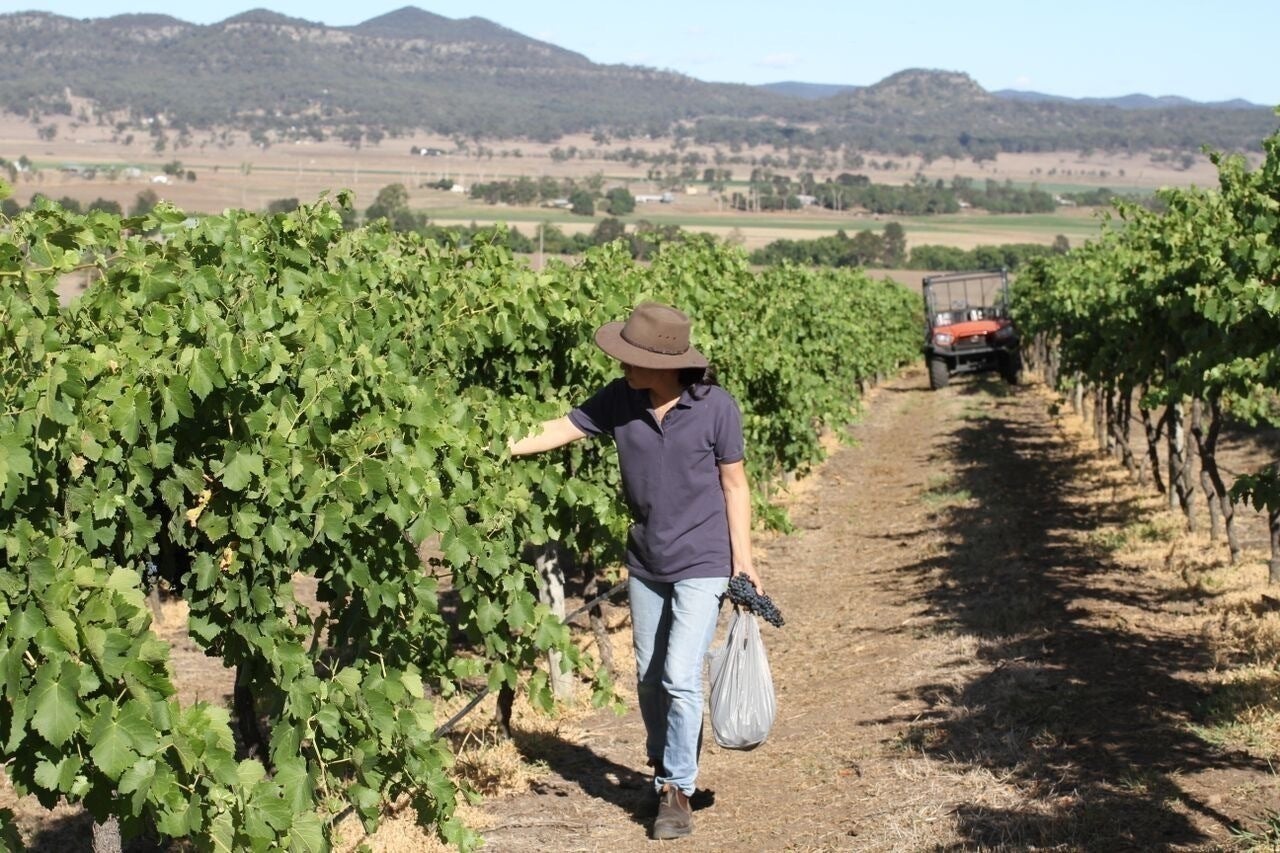 4番目のメイン画像