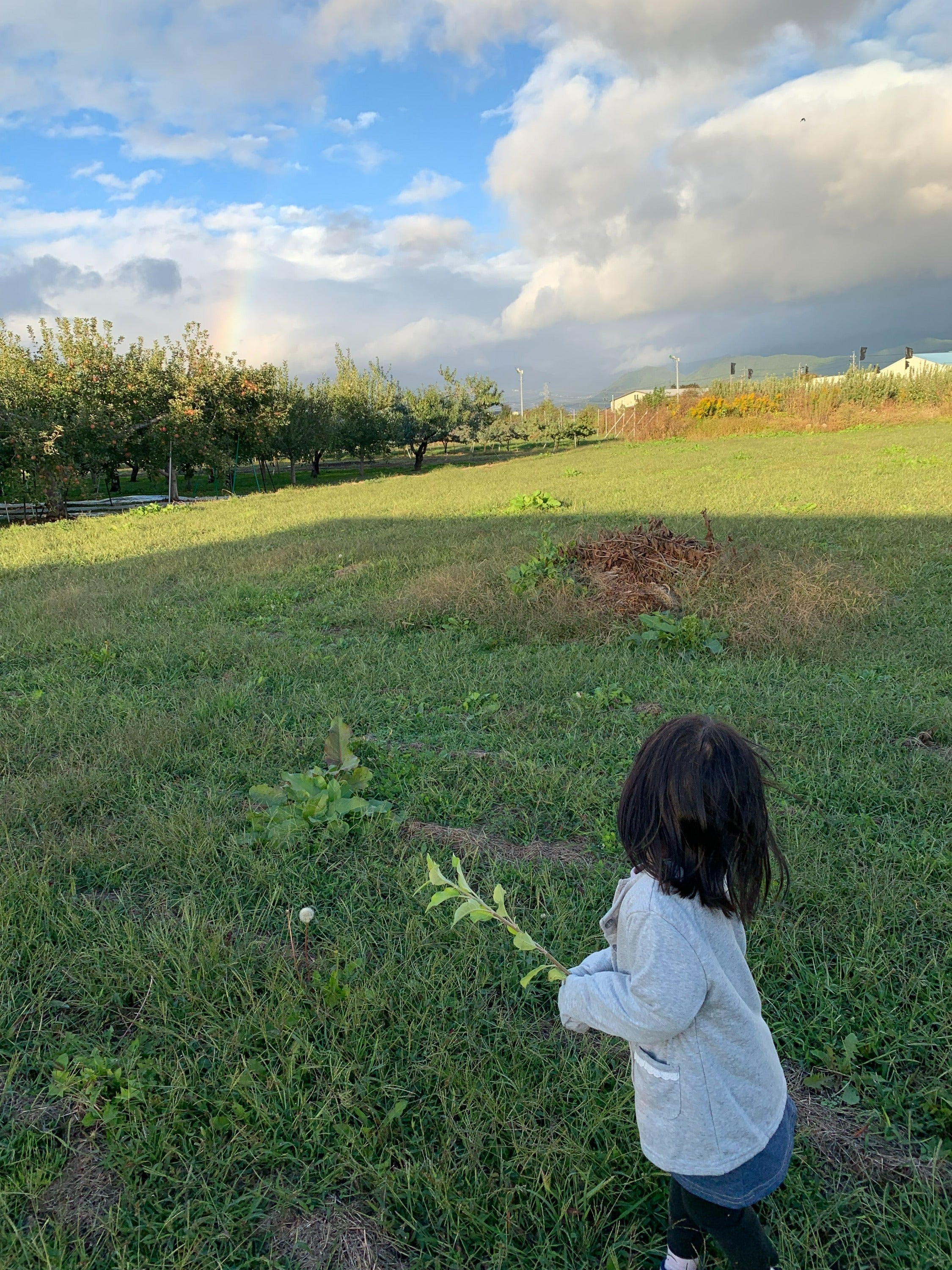 2番目のメイン画像