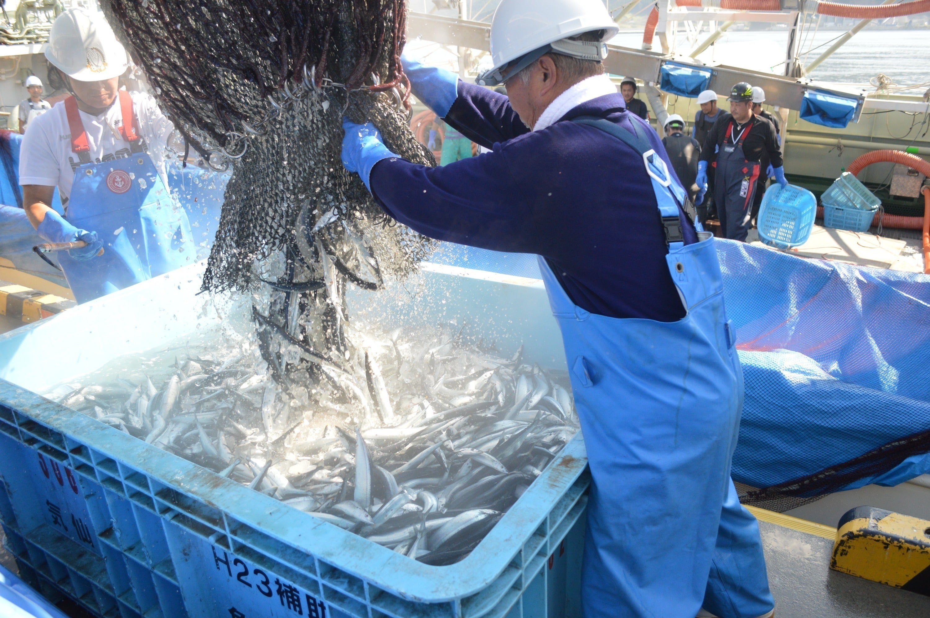 4番目のメイン画像