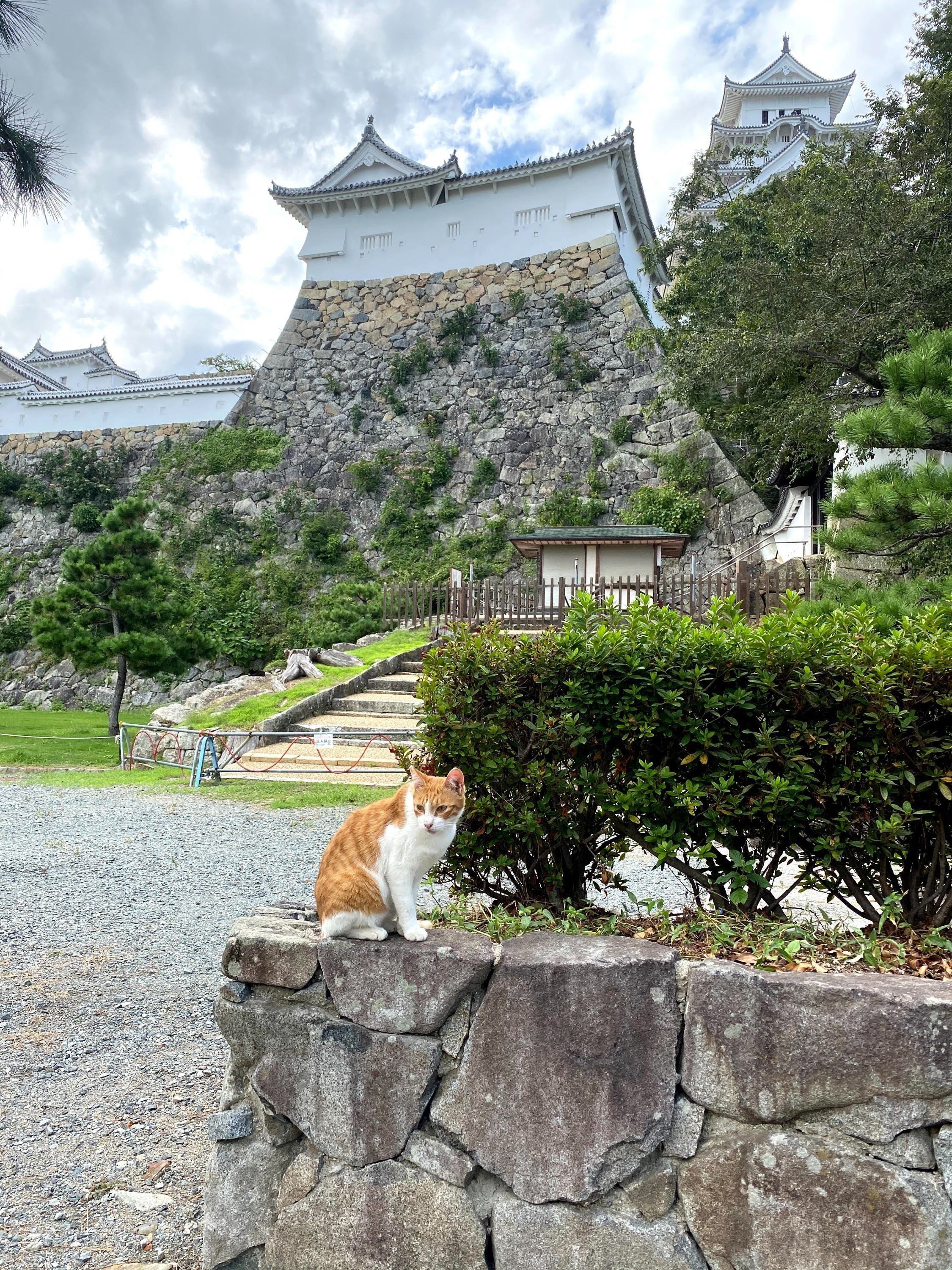 5番目のメイン画像