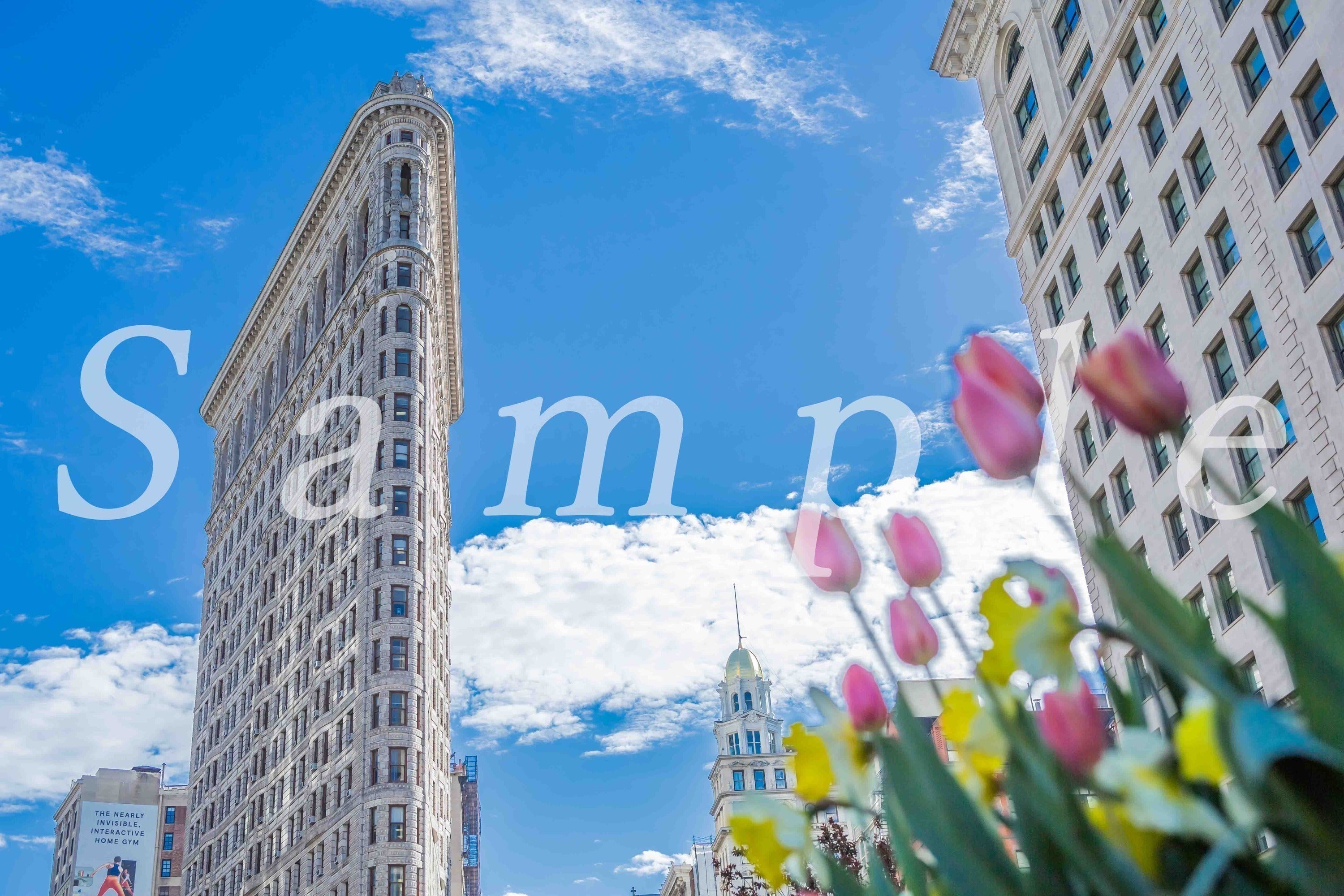 2番目のメイン画像