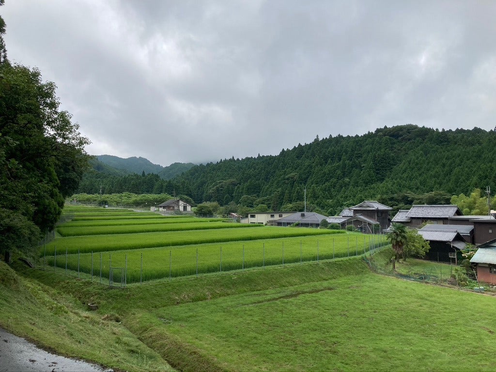 4番目のメイン画像