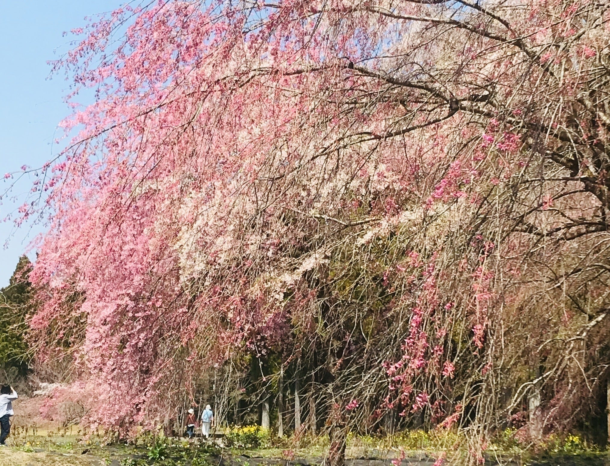 5番目のメイン画像