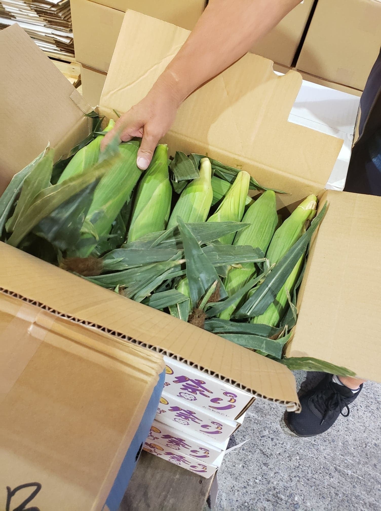 4番目のメイン画像