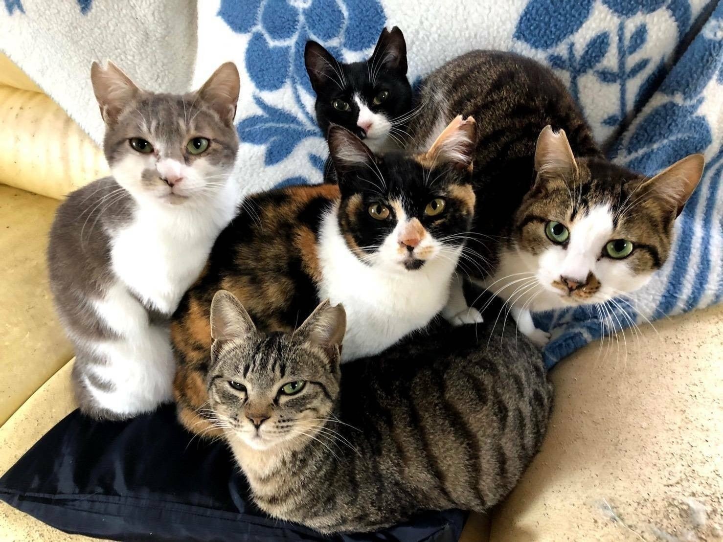 4番目のメイン画像