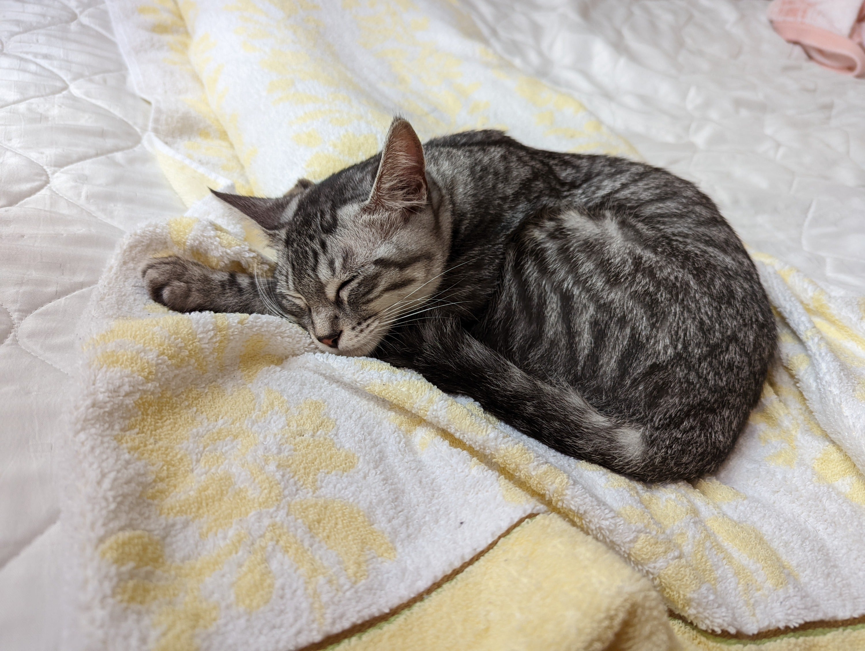 5番目のメイン画像