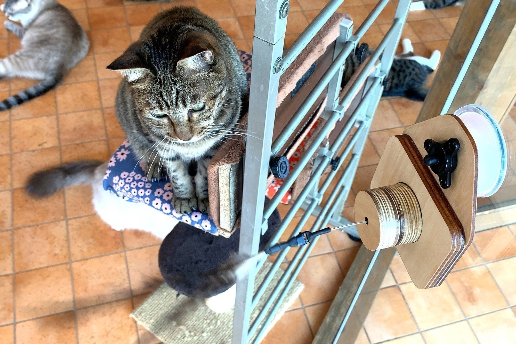 5番目のメイン画像