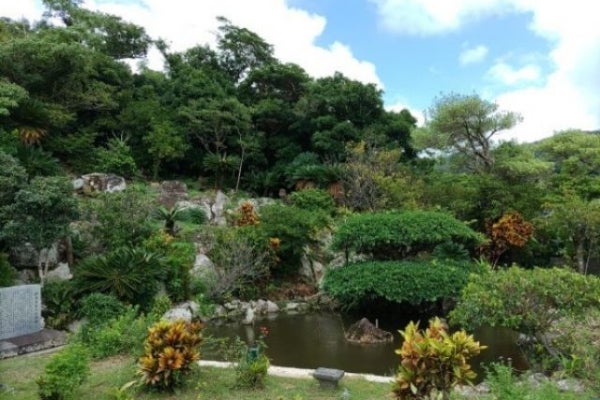 1番目のメイン画像