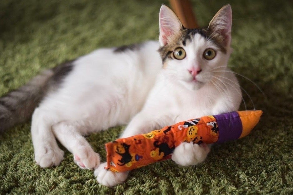 2番目のメイン画像