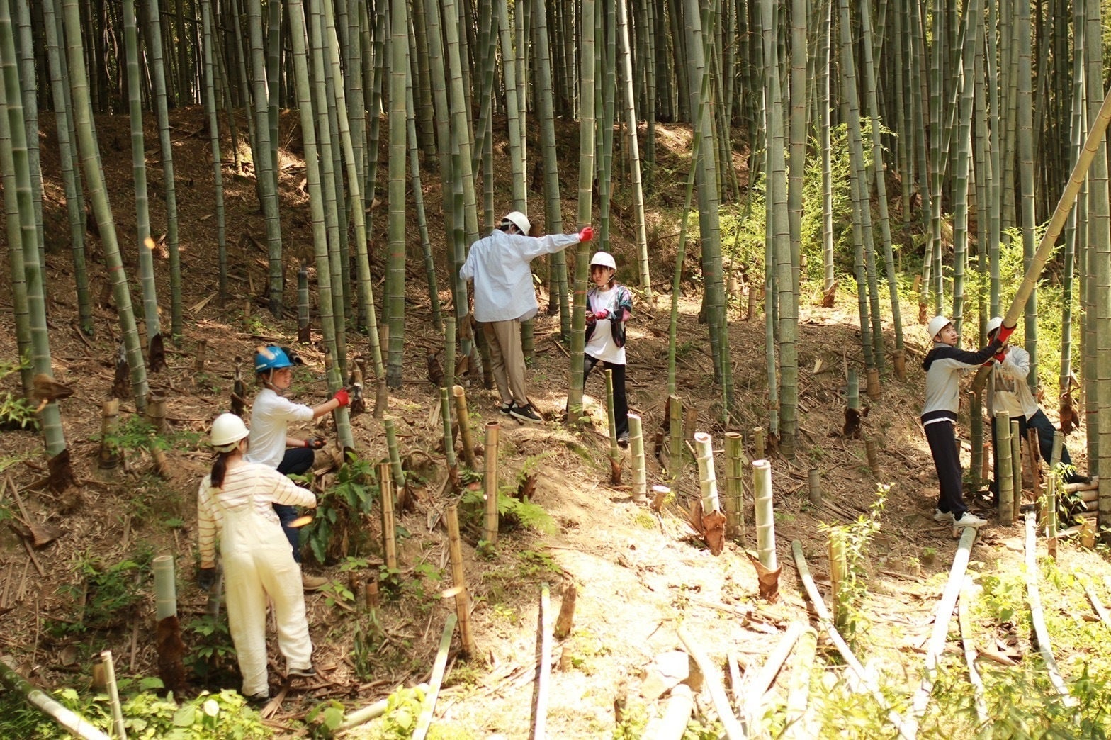 4番目のメイン画像