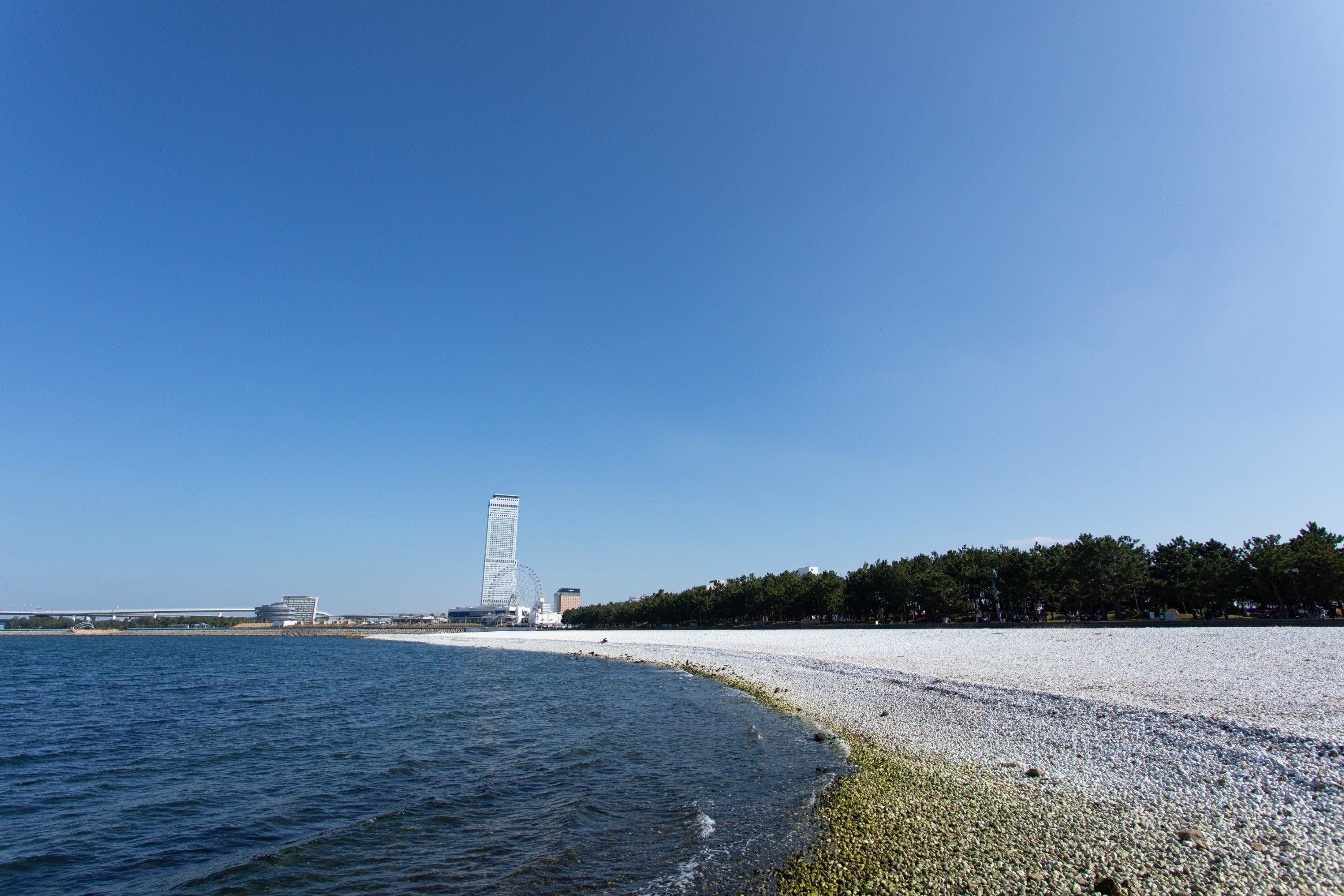 3番目のメイン画像