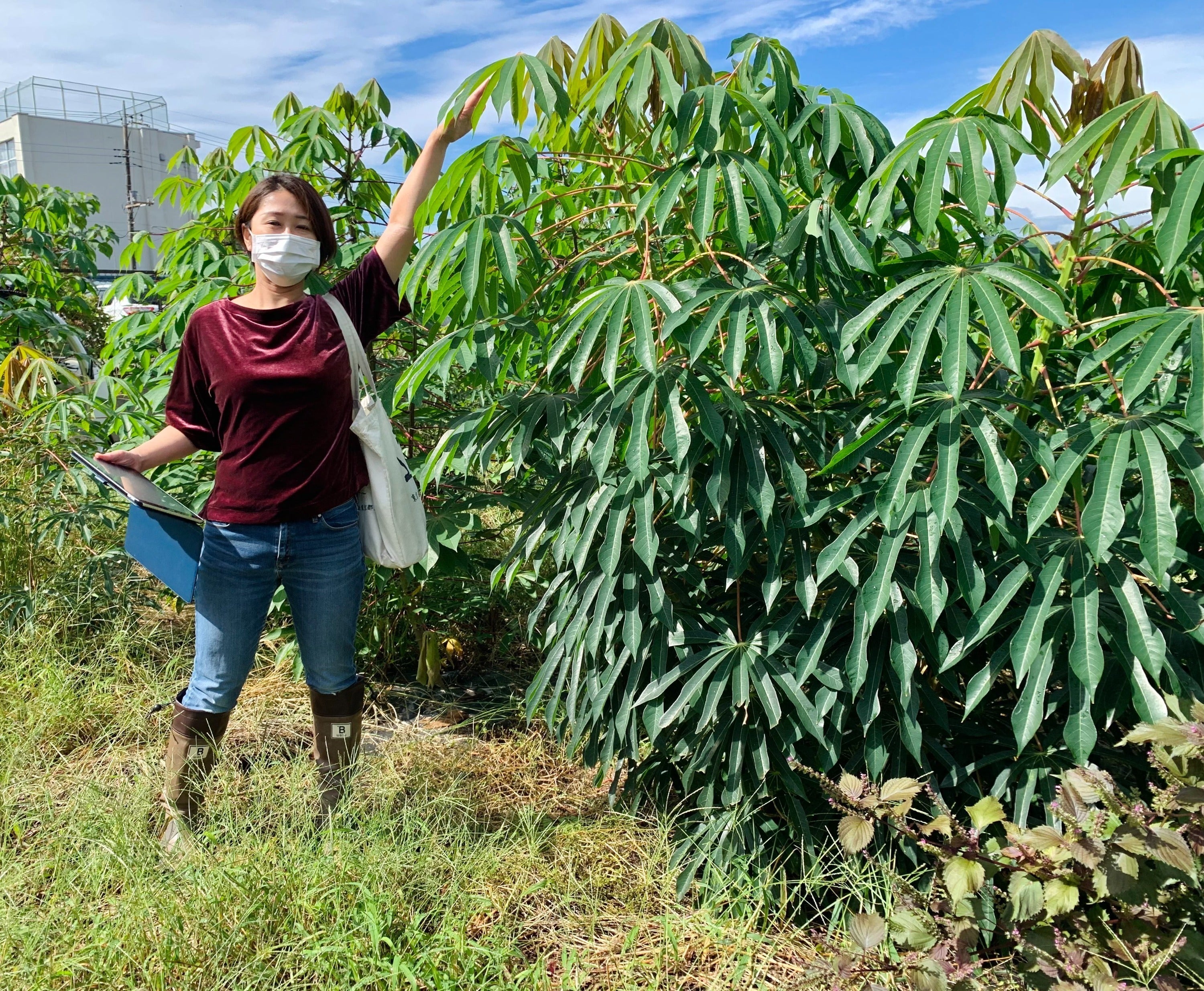 4番目のメイン画像