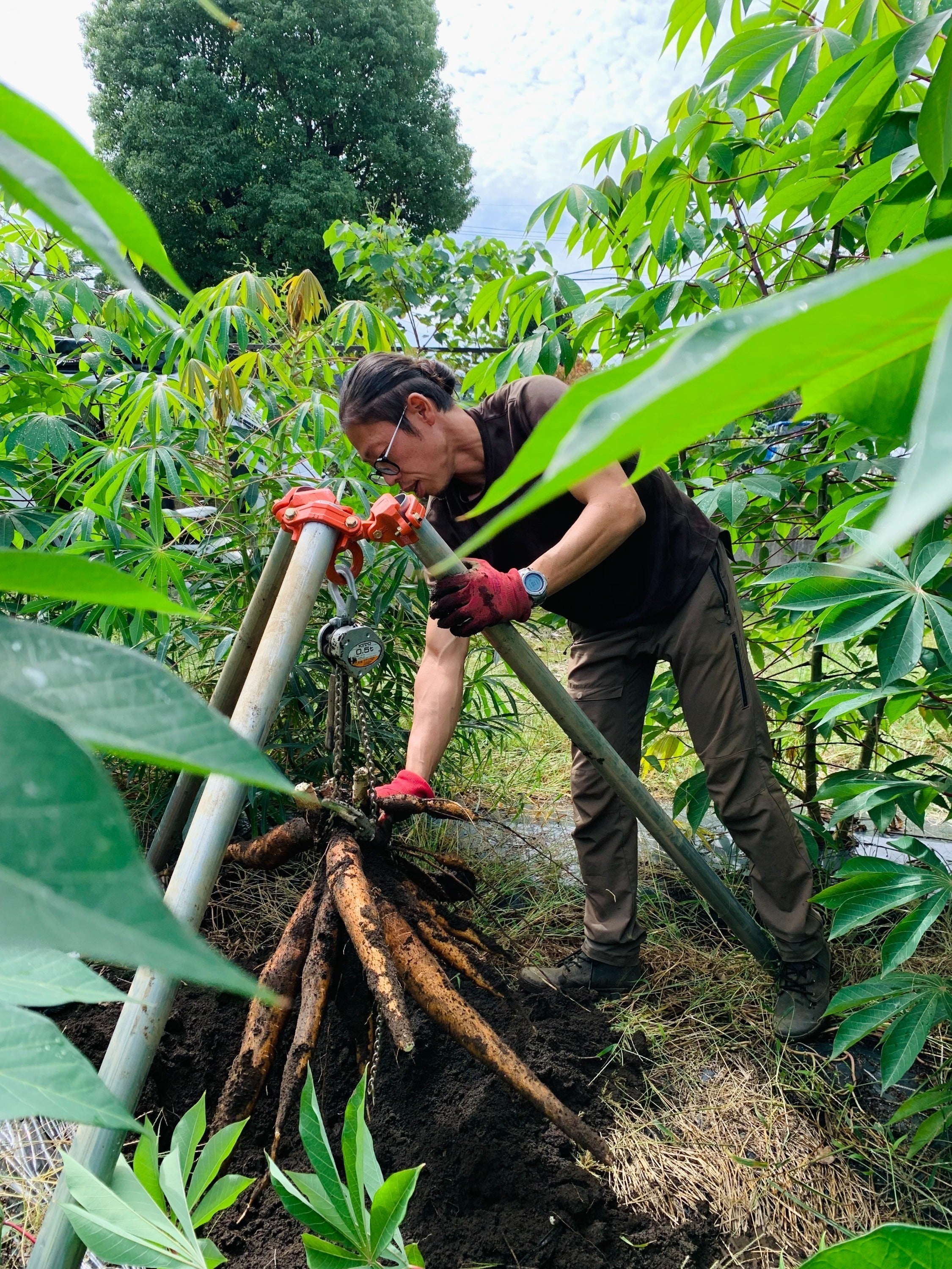 3番目のメイン画像