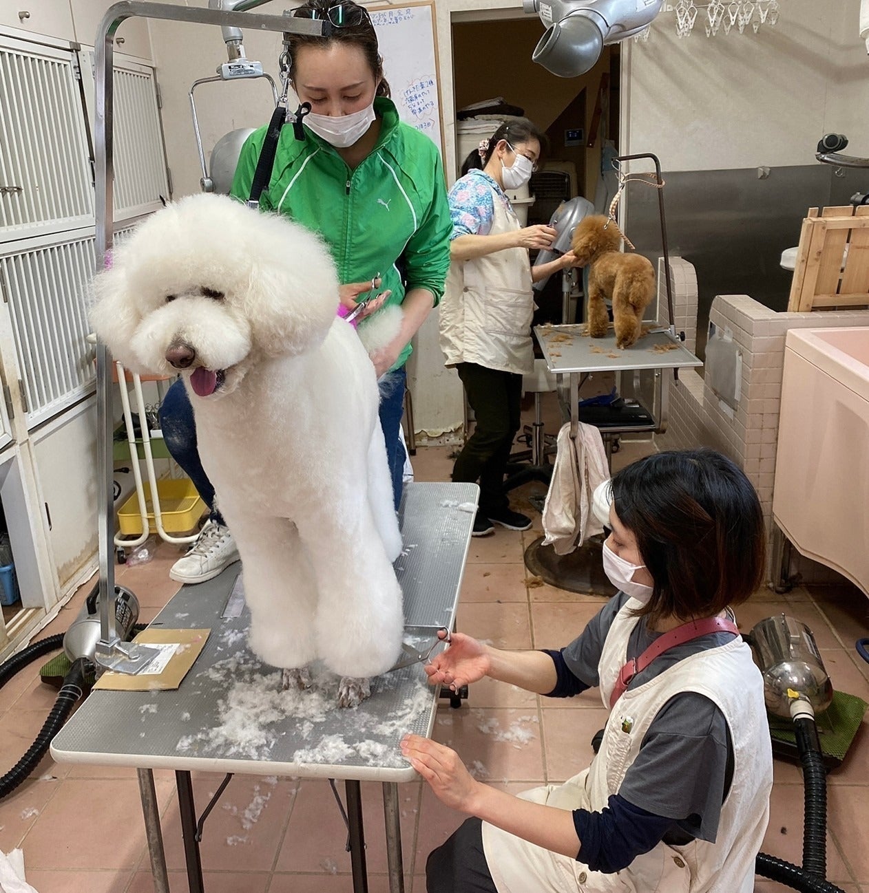 3番目のメイン画像