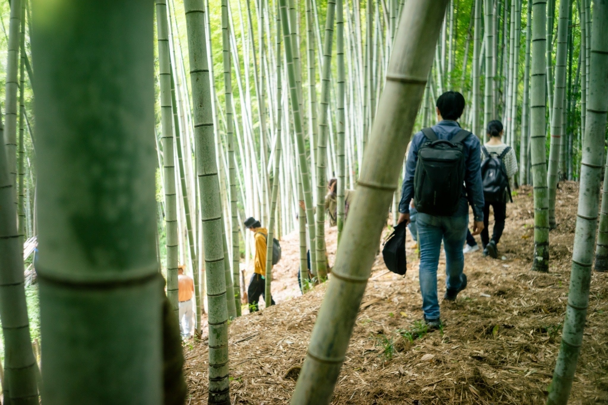 3番目のメイン画像