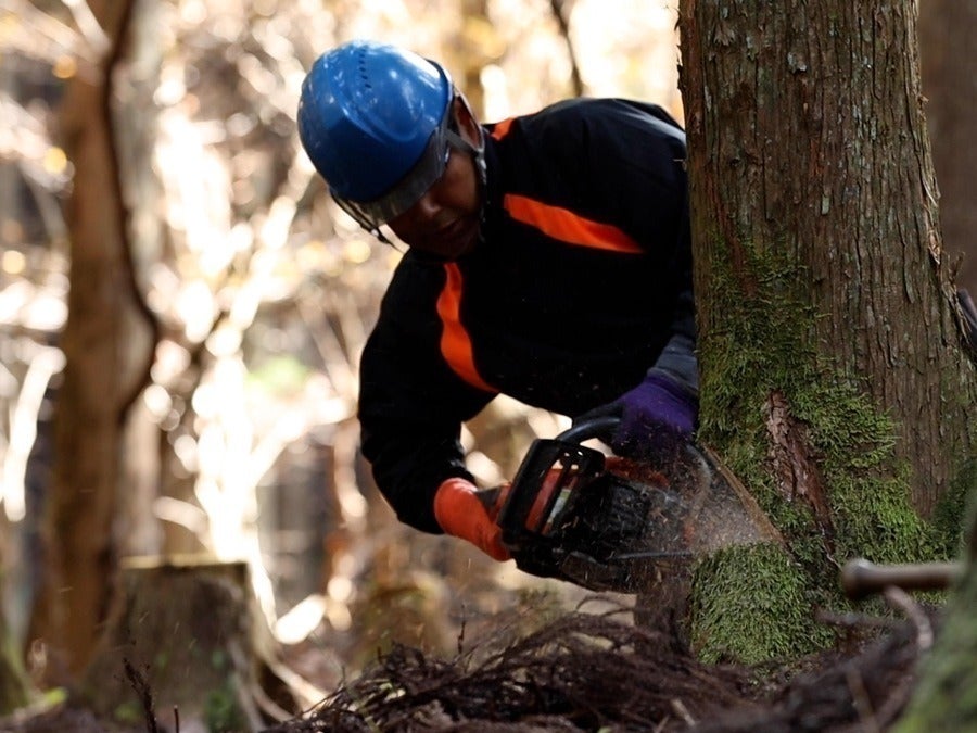 2番目のメイン画像