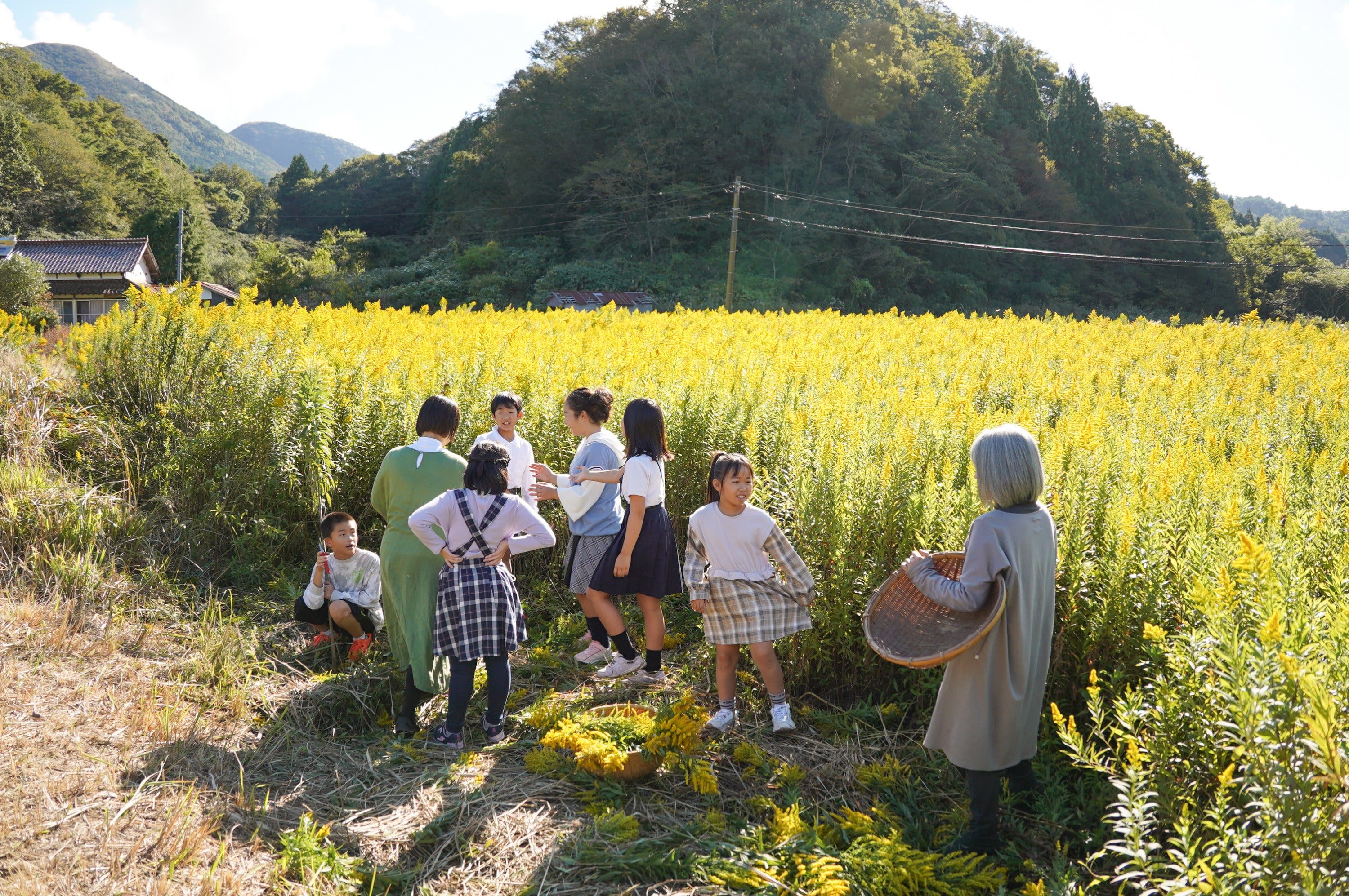 5番目のメイン画像