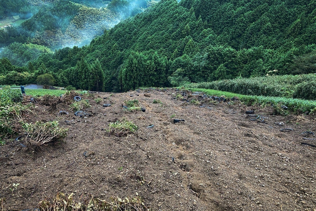 3番目のメイン画像