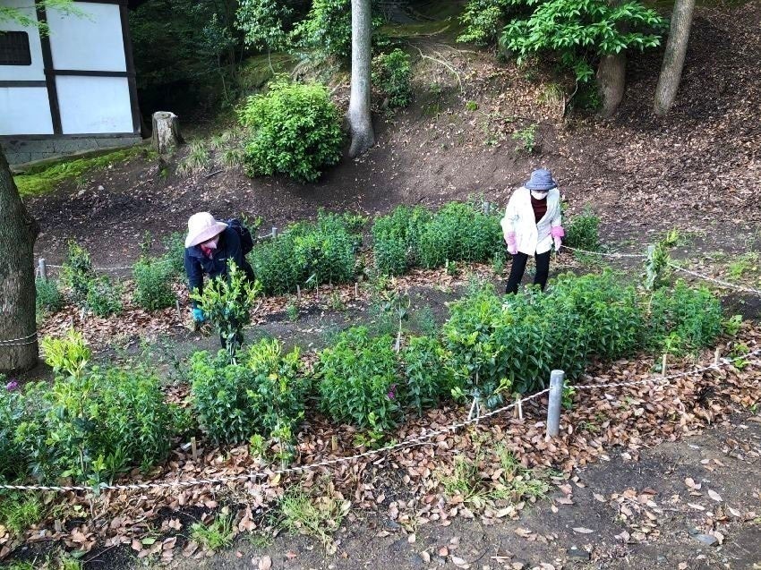 4番目のメイン画像