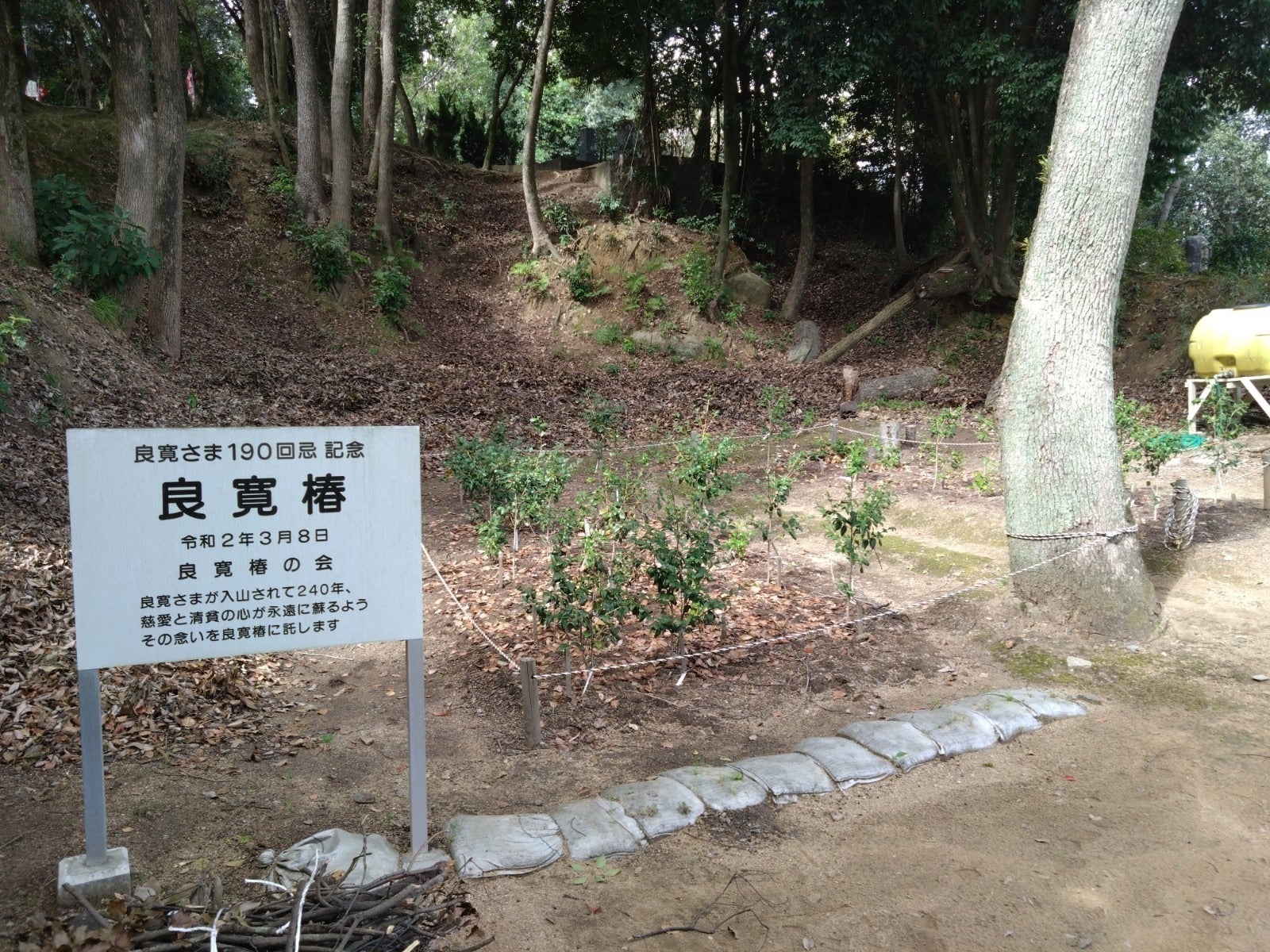 3番目のメイン画像