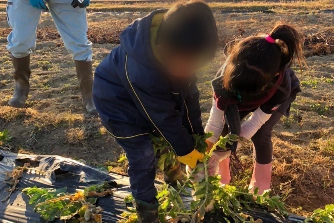 3番目のメイン画像