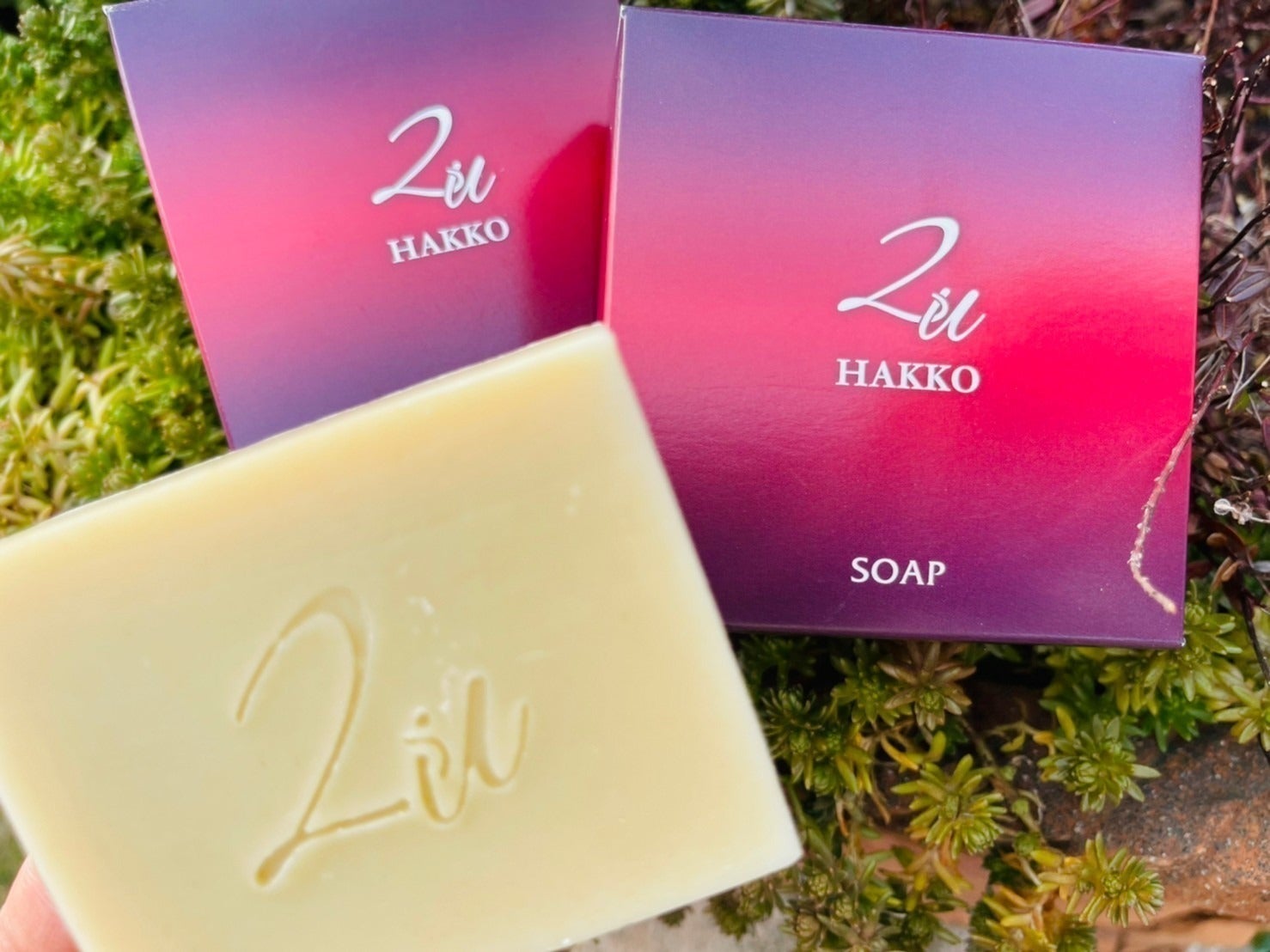 2番目のメイン画像