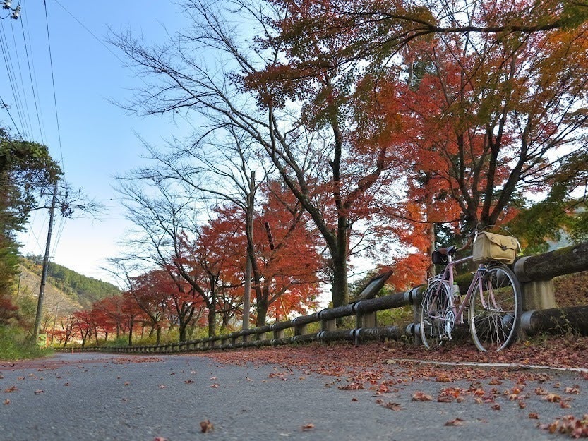 5番目のメイン画像