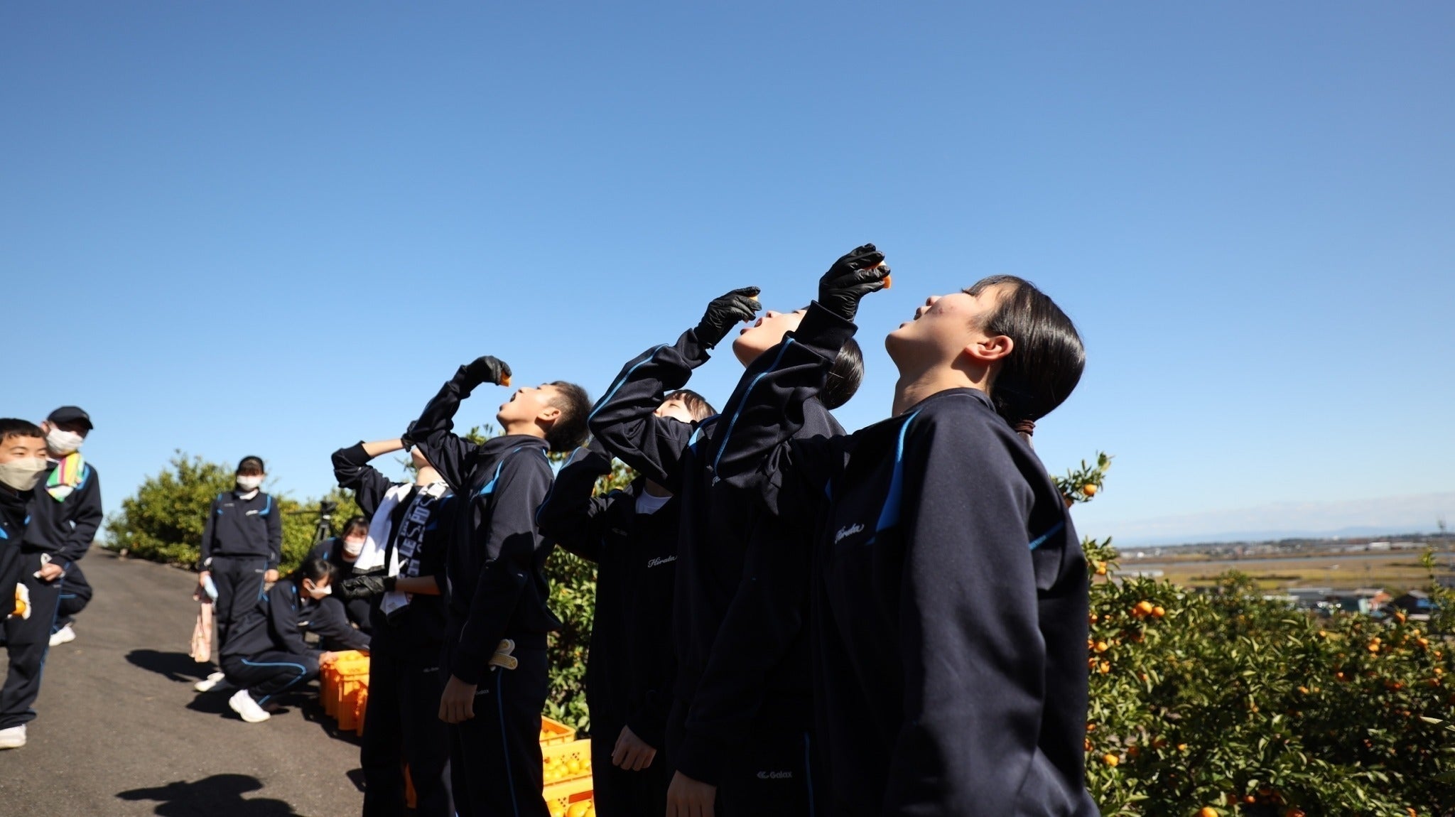 4番目のメイン画像