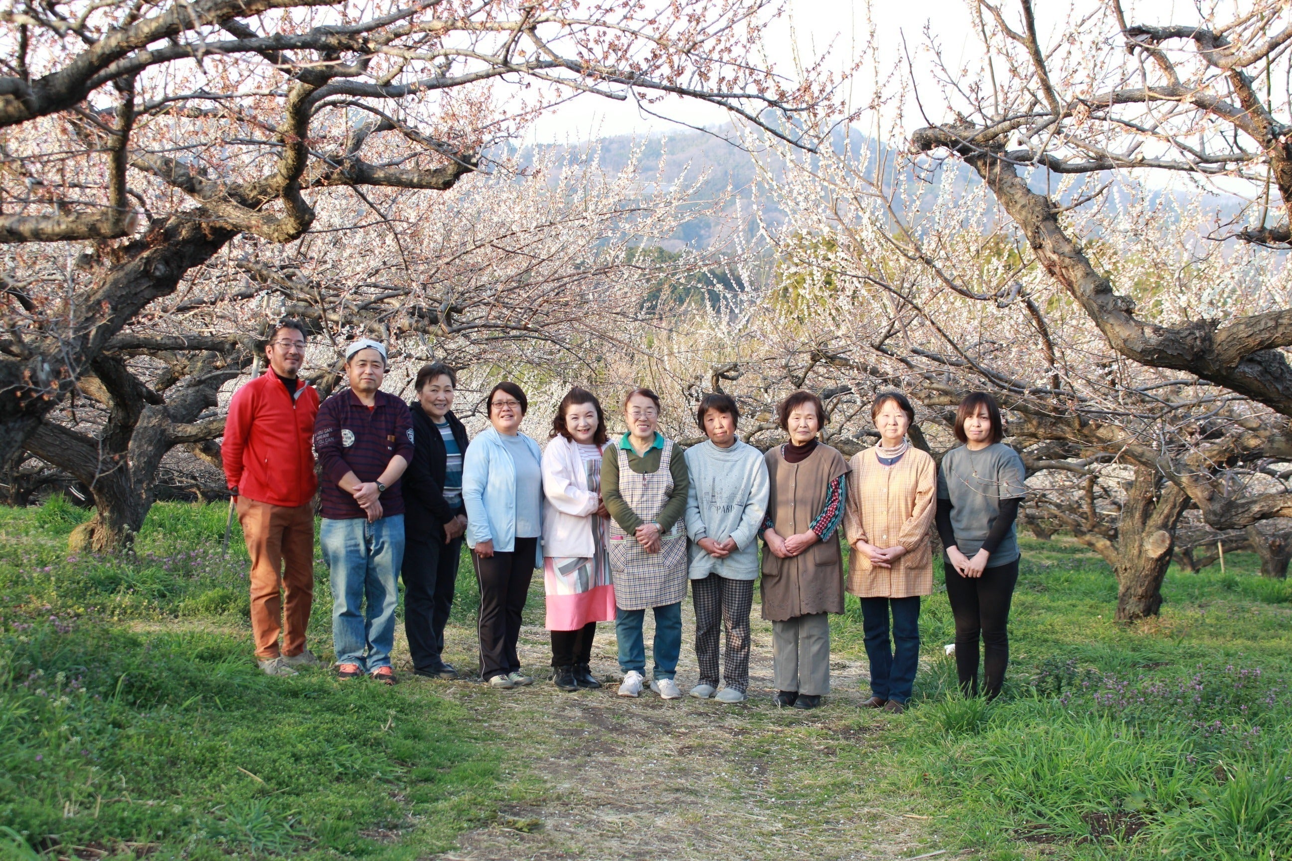 2番目のメイン画像