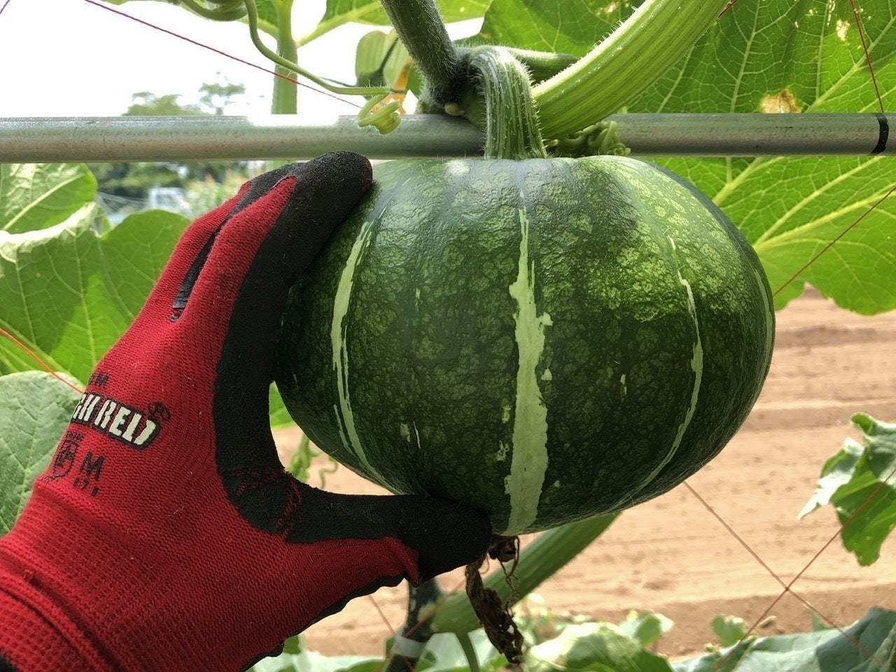 3番目のメイン画像