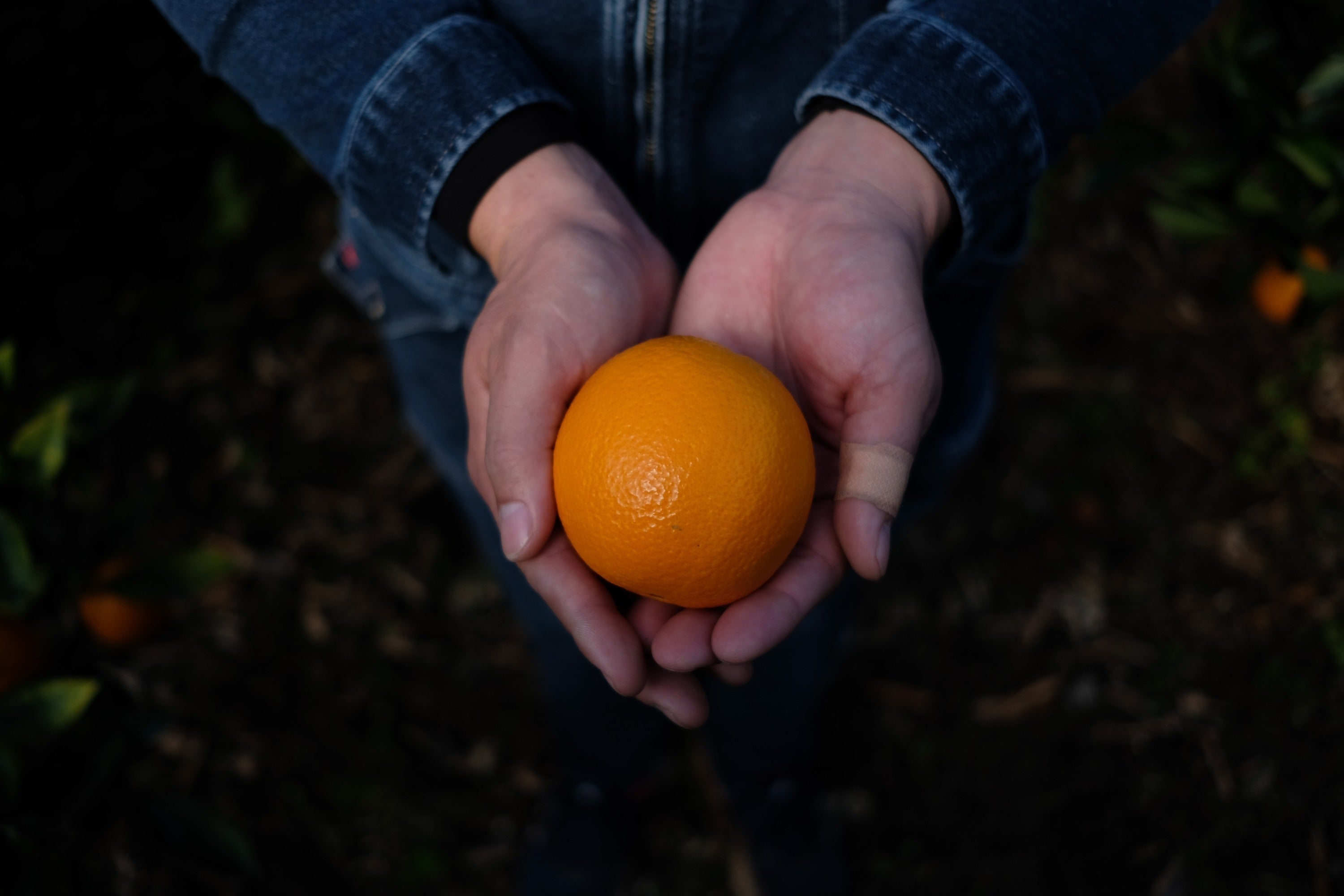 3番目のメイン画像